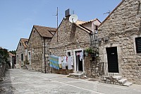 5419.jpg 5419.jpg