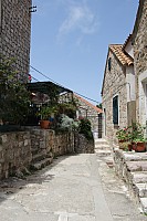 5421.jpg 5421.jpg