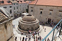 5445.jpg 5445.jpg