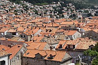 5493.jpg 5493.jpg