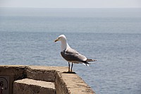 5519.jpg 5519.jpg