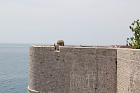 5580.jpg 5580.jpg