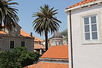 5592.jpg 5592.jpg