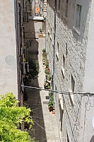 5598.jpg 5598.jpg