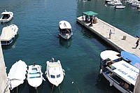 5647.jpg 5647.jpg