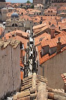 5731.jpg 5731.jpg