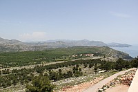 5844.jpg 5844.jpg