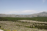5845.jpg 5845.jpg