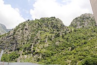 5975.jpg 5975.jpg