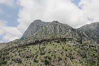 6048.jpg 6048.jpg