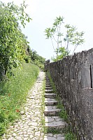 6090.jpg 6090.jpg