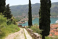 6096.jpg 6096.jpg
