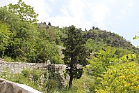 6113.jpg 6113.jpg