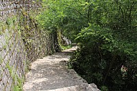 6133.jpg 6133.jpg