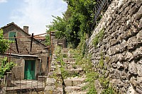 6135.jpg 6135.jpg