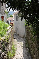 6139.jpg 6139.jpg