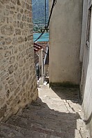 6141.jpg 6141.jpg