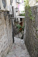 6145.jpg 6145.jpg