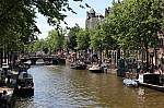 7381.jpg 7381.jpg