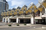 7082.jpg 7082.jpg