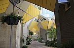 7091.jpg 7091.jpg
