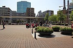 7131.jpg 7131.jpg