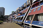 7155.jpg 7155.jpg