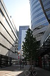 7190.jpg 7190.jpg