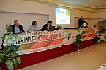 8571.jpg 8571.jpg