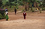 19069.jpg 19069.jpg