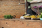 19070.jpg 19070.jpg
