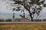 19082.jpg 19082.jpg