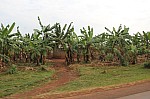 19239.jpg 19239.jpg