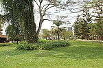 18811.jpg 18811.jpg