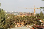 20136.jpg 20136.jpg