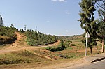 19473.jpg 19473.jpg