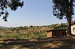19503.jpg 19503.jpg