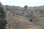 19719.jpg 19719.jpg