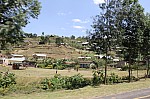19808.jpg 19808.jpg