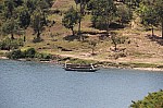 19926.jpg 19926.jpg