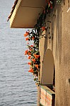 20004.jpg 20004.jpg