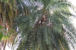 20005.jpg 20005.jpg