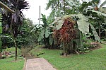 1688.jpg 1688.jpg