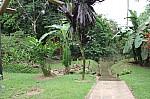1691.jpg 1691.jpg