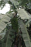 1699.jpg 1699.jpg