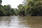 1737.jpg 1737.jpg