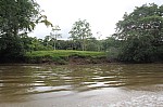 1796.jpg 1796.jpg
