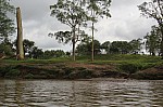 1799.jpg 1799.jpg