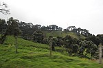 2006.jpg 2006.jpg