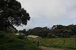 2009.jpg 2009.jpg